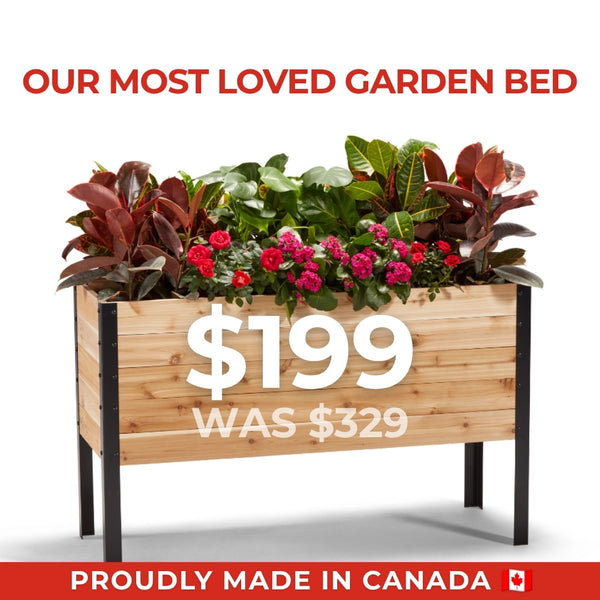 Canada Day | 18" x 48" Raised Garden Bed