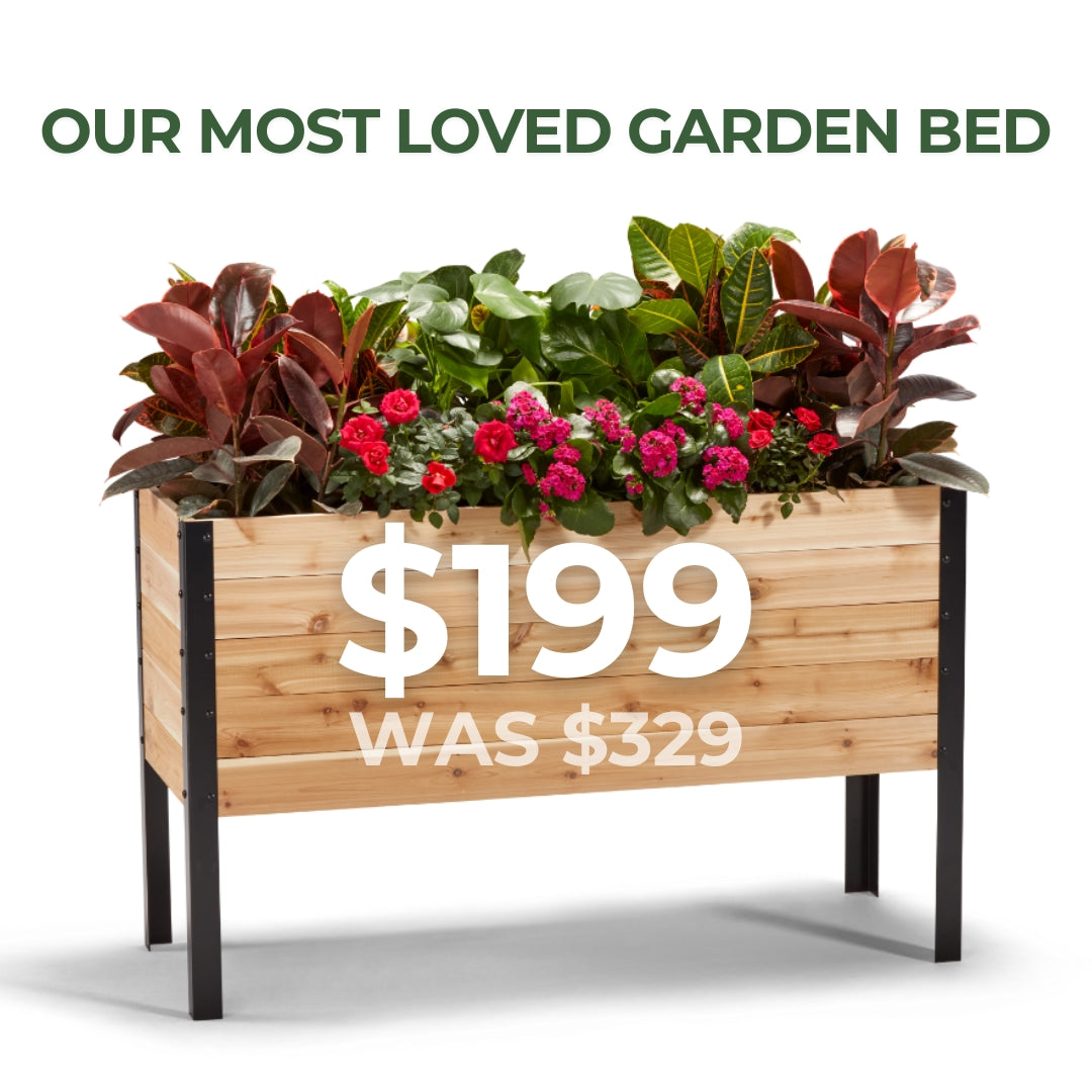 Anniversary Sale | 18” x 48” Raised Garden Bed