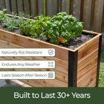 Western Red Cedar raised garden bed built to last