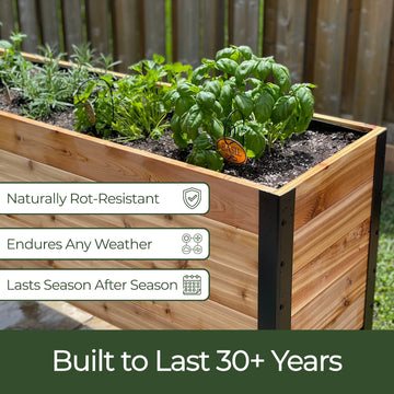 Western Red Cedar raised garden bed built to last