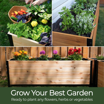Cedar raised garden beds ready to grow