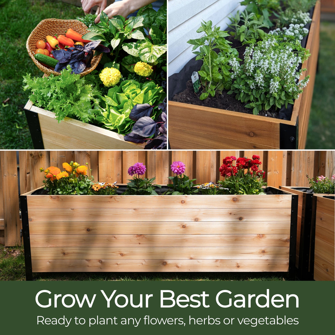 The Garden Success Kit