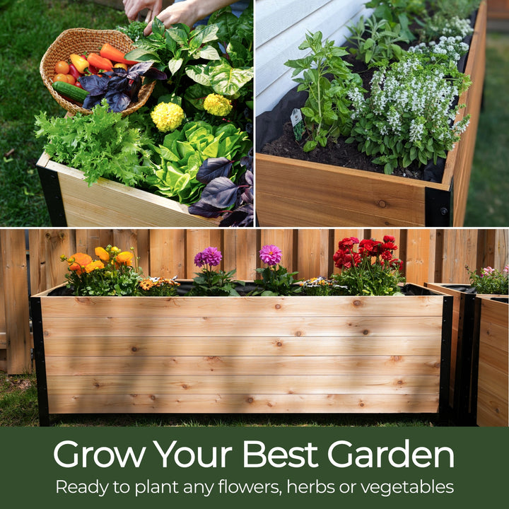 The Garden Success Kit