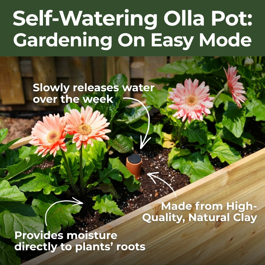 7-Year Anniversary Bundle: 18″ × 36″ Deep Root Raised Garden Bed + Platform Feet + Olla Pot