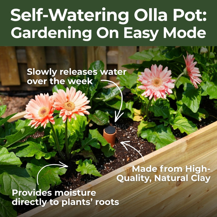 7-Year Anniversary Bundle: 18″ × 36″ Deep Root Raised Garden Bed + Platform Feet + Olla Pot