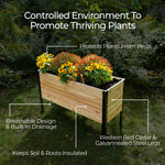Cedar planter promotes thriving plants