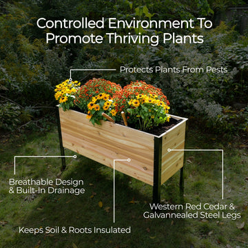 Cedar planter promotes thriving plants