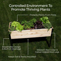 18″ x 24″ Shallow Root Raised Garden Bed - 30″ TALL / Garden Grade