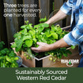 18″ x 36″ Shallow Root Raised Garden Bed - 30″ TALL / Garden Grade