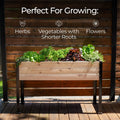 11.5″ x 72″ Shallow Root Raised Garden Bed - 30″ TALL / Select Grade