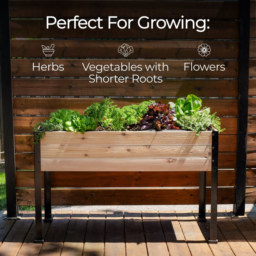 18″ x 36″ Shallow Root Raised Garden Bed - 30″ TALL / Garden Grade