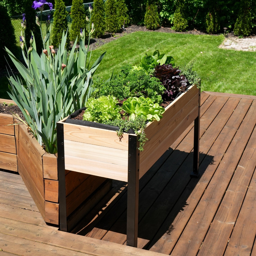 11.5″ x 72″ Shallow Root Raised Garden Bed - 30″ TALL / Select Grade