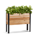 11.5-inch by 36-inch shallow root raised garden bed in Western Red Cedar with plants