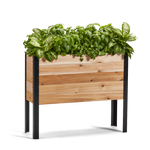 11.5-inch by 36-inch shallow root raised garden bed in Western Red Cedar with plants