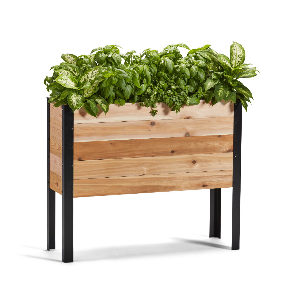 11.5-inch by 36-inch shallow root raised garden bed in Western Red Cedar with plants