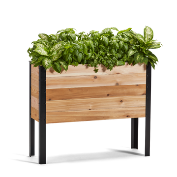 11.5-inch by 36-inch shallow root raised garden bed in Western Red Cedar with plants