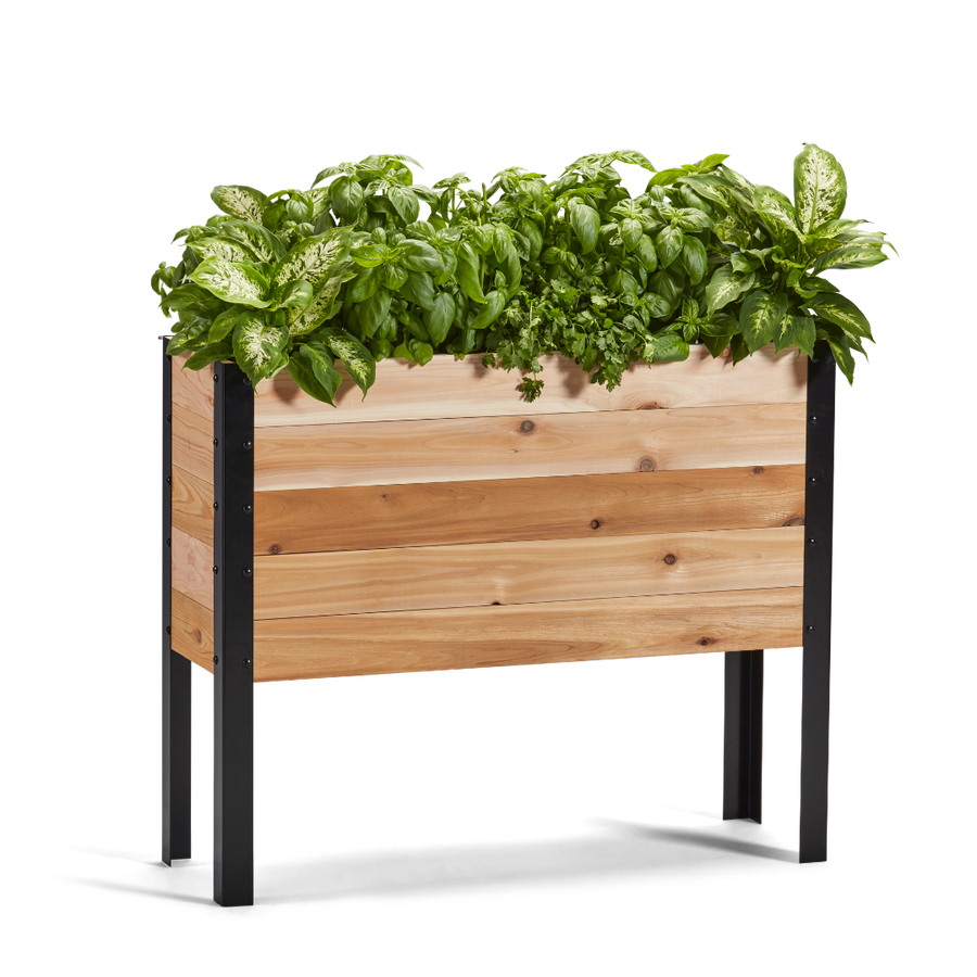 11.5-inch by 36-inch shallow root raised garden bed in Western Red Cedar with plants