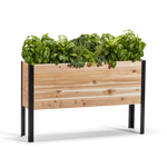11.5-inch by 48-inch shallow root raised garden bed in Western Red Cedar with plants