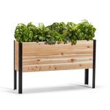 11.5-inch by 48-inch shallow root raised garden bed in Western Red Cedar with plants