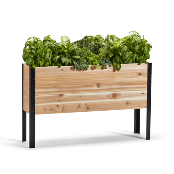 11.5-inch by 48-inch shallow root raised garden bed in Western Red Cedar with plants
