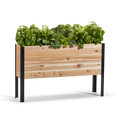 A wooden raised garden bed with a variety of plants and flowers growing in it, set against a white background.