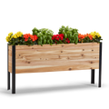 11.5-inch by 60-inch shallow root raised garden bed in Western Red Cedar with plants
