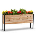 11.5-inch by 60-inch shallow root raised garden bed in Western Red Cedar with plants