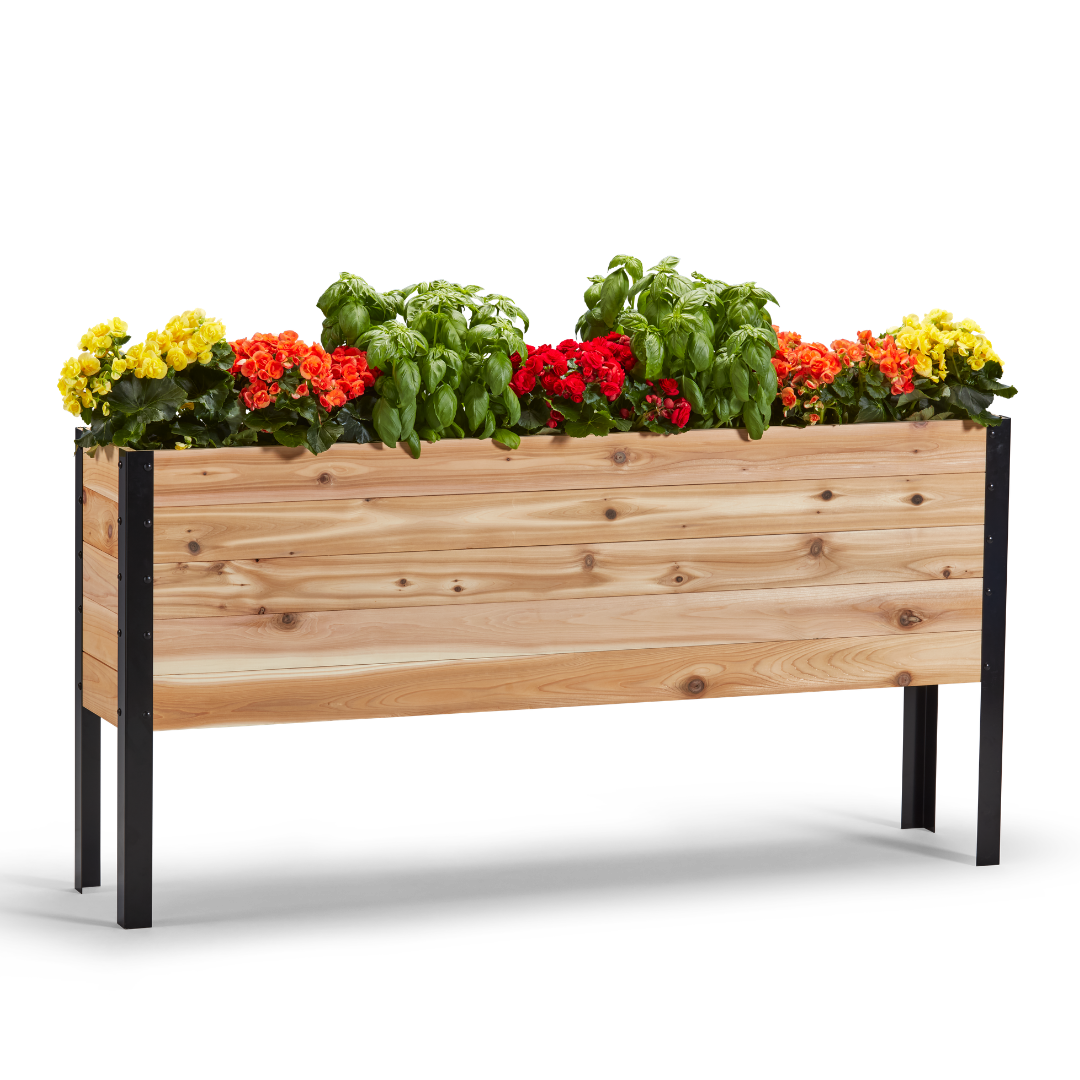 11.5-inch by 60-inch shallow root raised garden bed in Western Red Cedar with plants