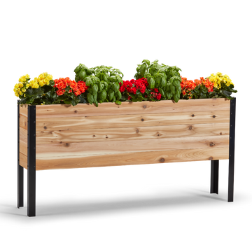 11.5-inch by 60-inch shallow root raised garden bed in Western Red Cedar with plants