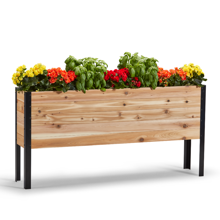 11.5-inch by 60-inch shallow root raised garden bed in Western Red Cedar with plants