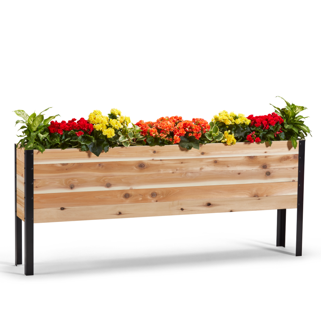 11.5-inch by 72-inch shallow root raised garden bed in Western Red Cedar with plants