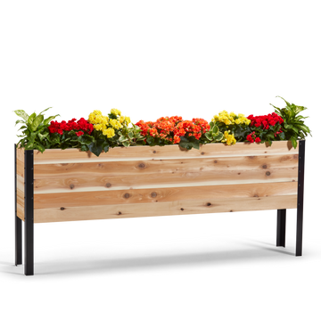 11.5-inch by 72-inch shallow root raised garden bed in Western Red Cedar with plants