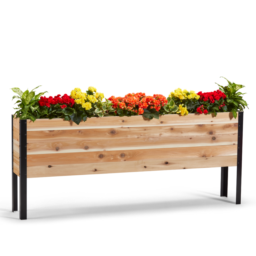 11.5-inch by 72-inch shallow root raised garden bed in Western Red Cedar with plants