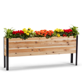 A raised garden bed made of wood, filled with various plants and positioned on a white background.