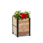 18" x 18" Planter Box - 24" TALL / Garden Grade