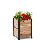 18" x 18" Planter Box - 24" TALL / Garden Grade