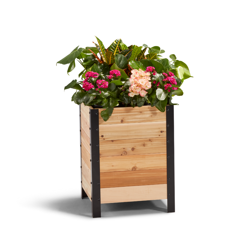 希少 large wooden pot 18