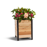 An 18-inch wide by 18 inches long and 24 inches tall wooden planter box with a variety of flowers planted in it.