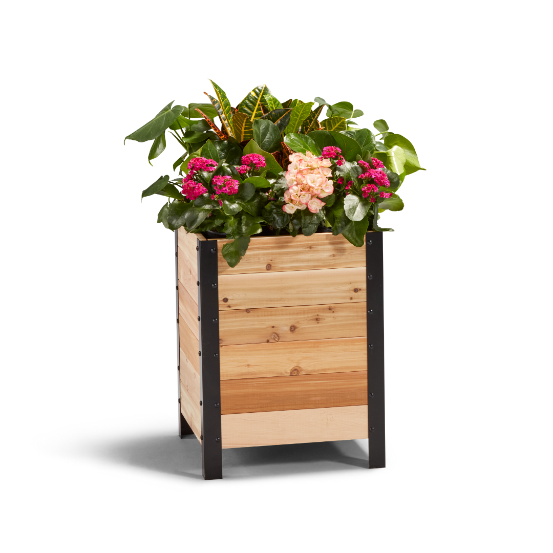 An 18-inch wide by 18 inches long and 24 inches tall wooden planter box with a variety of flowers planted in it.