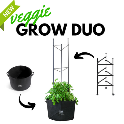 Veggie Grow Duo