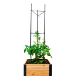 Vegetable Cage
