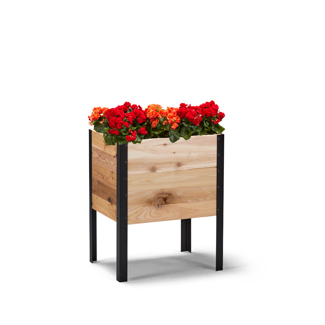 18-inch by 24-inch shallow root raised garden bed in Western Red Cedar with plants