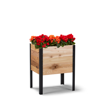 18-inch by 24-inch shallow root raised garden bed in Western Red Cedar with plants