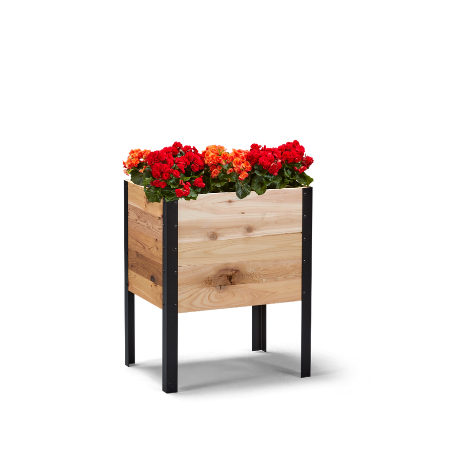 18-inch by 24-inch shallow root raised garden bed in Western Red Cedar with plants