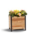 An 18" wide by 24" tall wooden planter box with flowers in it, featuring a visible wooden structure with a black metal frame.