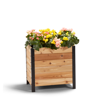 An 18" wide by 24" tall wooden planter box with flowers in it, featuring a visible wooden structure with a black metal frame.