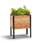 18-inch by 24-inch shallow root raised garden bed in Western Red Cedar with plants