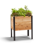 18-inch by 24-inch shallow root raised garden bed in Western Red Cedar with plants