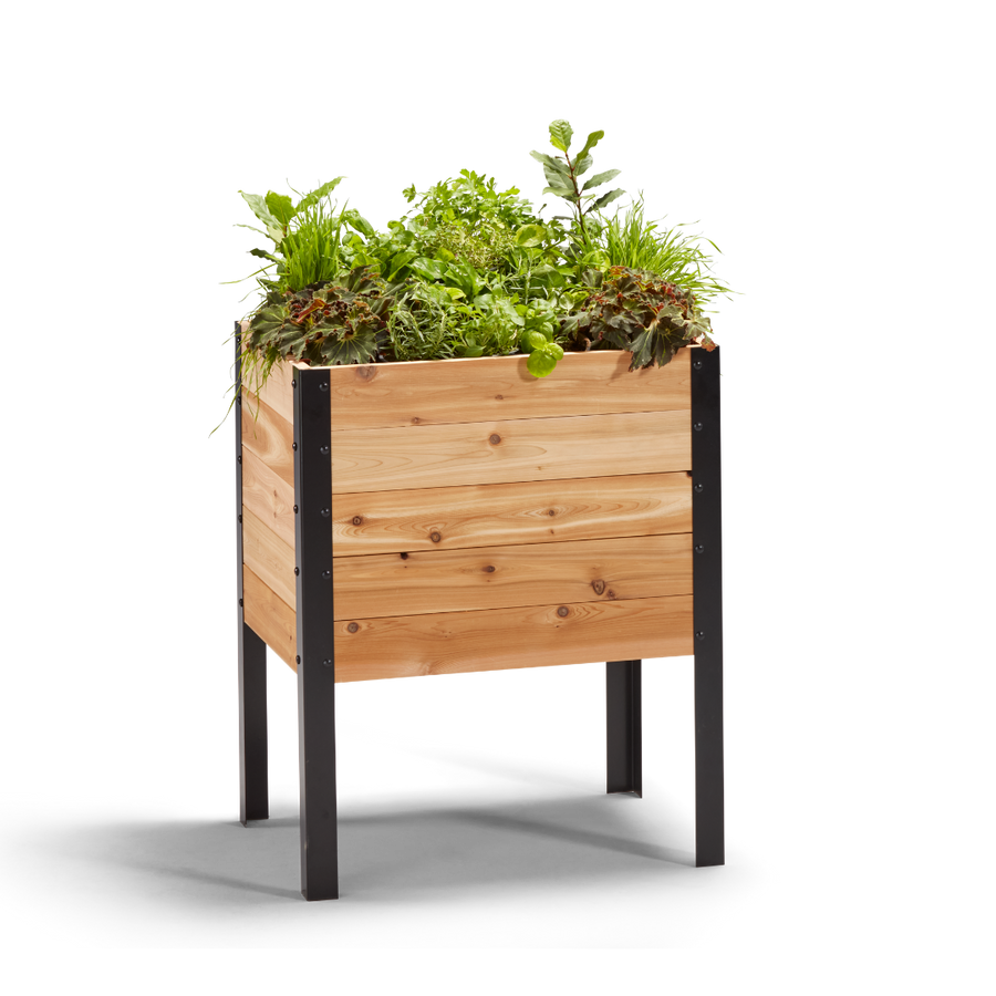 18-inch by 24-inch shallow root raised garden bed in Western Red Cedar with plants