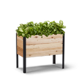 18-inch by 36-inch shallow root raised garden bed in Western Red Cedar with plants